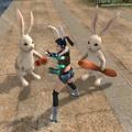 線上遊戲的兔年祝福 - 比比看, 誰的耳朶比較可愛!