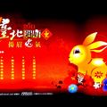 慶百年、百兔集 #4  2011 台北燈節宣傳燈箱: GO...兔...台北