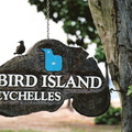 Bird Island是 Seychelles 最北的一個小島，島上棲息著百萬隻的海燕鷗。