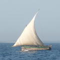 造型優美的單桅帆船(dhow)