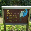 hole 6