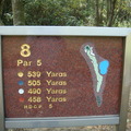 hole 8