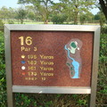 hole 16