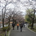 2010東京 - 恩賜公園