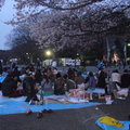 2010東京 - 上野公園