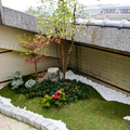 日式庭園--枯山水一角