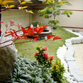 會變色的南天竹為閑靜樸實的日式庭園添上一抹秋色