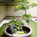 日式庭園--枯山水