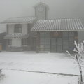 2011太平山雪景 - 4