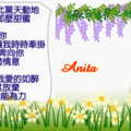Anita20080124-動畫