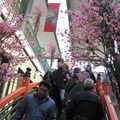 2007.04.20  之 SFO 日本城櫻花節遊行 - 5