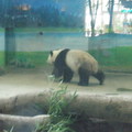 台北市立 zoo