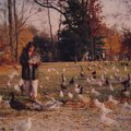 青兒在家附近的鴨子湖餵鴨子  大雁 海鳥 鴿子 以及一堆奇奇怪怪的鳥兒