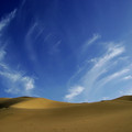 沙漠 - 2
