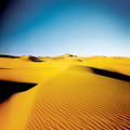 沙漠 - 4