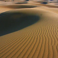 沙漠 - 1