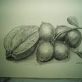 鉛筆素描 - 檸檬和楊桃