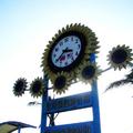 新竹海邊單車專用道的時鐘