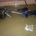 弟弟的腳踏車淹一半了