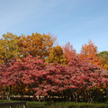 秋天的李堡-新澤西州