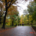 秋到中央公園