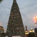 巨形聖誕樹，加上花車巡遊的熱烈氣氛，聖誕節快到了！Merry Christmas！
