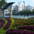 香港島銅鑼灣維多利亞公園，是區內的綠洲；無論手推嬰兒車的、綬步跑的、中午吃飯後三五成群散步的、還是穿著西服一人坐在椅上急速吃著漢堡包的‧‧‧