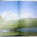 什麼是山與水,到過蒙古才知道...