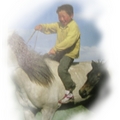 蒙古的任何一個孩子都可以跨上沒有馬鞍的馬匹,在草原上飛揚...
