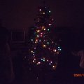 聖誕節就快到囉，拔比說買一棵聖誕樹給女兒吧~ 這是我們家的第一棵聖誕樹。