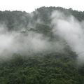 內洞半日行~雲霧煙嵐繚繞