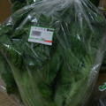 台塑有機蔬菜081029