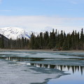 Kluane NP, Yukon-201105 - 5