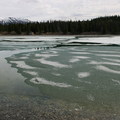 Kluane NP, Yukon-201105 - 9