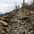 Kluane NP, Yukon-201105 - 15