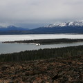 Kluane NP, Yukon-201105 - 17