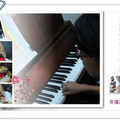 上鋼琴課的小狗 - 3