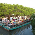 遊客登竹筏遊歷四草綠色隧道。