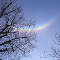 微笑的彩虹(2011年1月20日攝於屋前天空 )