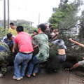 Residents gather to remove a fallen tree blocking a road in Changle, in southeast China's Fujian province on August 8, 2009 as Typhoon Morakot hits mainland China. (AFP/AFP/Getty Images)