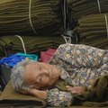 A woman, taking shelter from Typhoon Morakot, rests in a temporary evacuation centre in Chiatung, in southern Taiwan's Pingtung county on August 9, 2009. (PATRICK LIN/AFP/Getty Images)