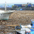 Driftwood and debris fills Fugang Harbor after Typhoon Morakot hit Taitung county, eastern Taiwan, Sunday, Aug. 9, 2009. (AP Photo)