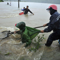 Local residents try to catch fish at a flooded fish pond as Typhoon Morakot approaches in Xiapu county of Ningde, Fujian province, China on August 9, 2009. (REUTERS/Stringer)