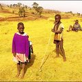 Michelle McFatter's photograph of girl wearing a purple jumper, herding cattle with other children is the first in a series of shots of the colour purple in Africa sent in by BBC News website readers.