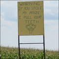 This warning, snapped by Stuart Schaum in South Africa on the way up to the Mozambican border, will give would-be maize thieves something to chew over.