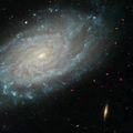 星係NGC 3370 

