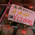 北海道超甜的哈密瓜