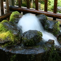 羊蹄富士山湧水口-水是冰的哦！