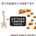 《新世紀健康飲食》簡報圖片-周泳杉老師主講 - 24