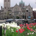 Spring in Boston